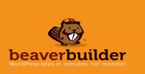 Download free Beaver Builder Pro v2.3.2.7