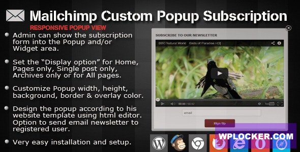 Download free Mailchimp Custom Popup Subscription for wordpress v1.4
