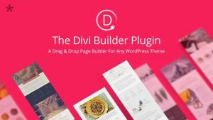 Divi Builder v4.6.5 – Drag & Drop Page Builder WP Plugin