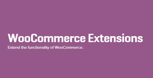 94 Woocommerce Extensions + Updates