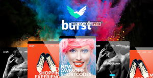 Burst v3.2 – A Bold and Vibrant WordPress Theme