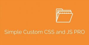 Simple Custom CSS and JS PRO v4.21.4