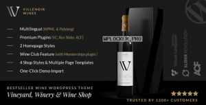 Villenoir v4.9 – Vineyard, Winery & Wine Shop