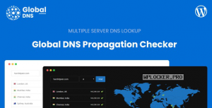 Global DNS v1.3.0 – Multiple Server – DNS Propagation Checker – WP
