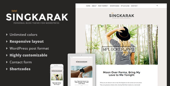 Singkarak v1.0.8 – Responsive WordPress Blog Theme
