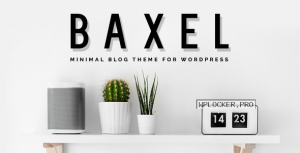 Baxel v5.0 – Minimal Blog Theme for WordPress