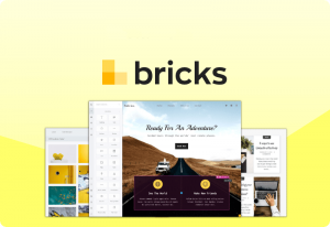 Bricks v1.2.3 – Visual Site Builder for WordPress