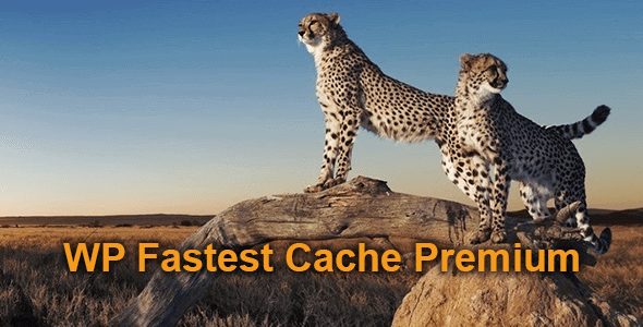 WP Fastest Cache Premium v1.6.6