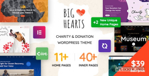 BigHearts v1.1.2 – Charity & Donation WordPress Theme