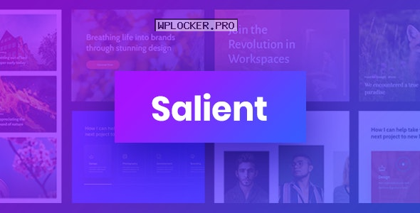 Salient v14.0.2 – Responsive Multi-Purpose Theme