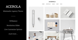 Acerola v1.6.5 – Ultra Minimalist Agency Theme