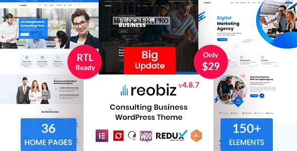Reobiz v4.8.7 – Consulting Business WordPress Themenulled