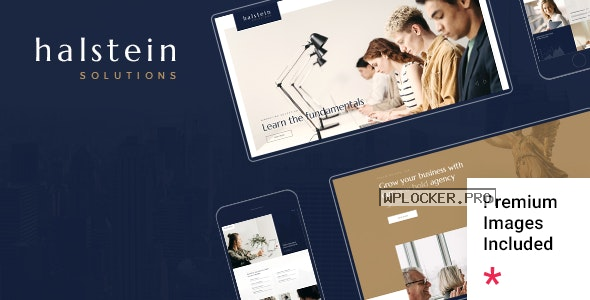 Halstein v1.2 – Business Consultingnulled