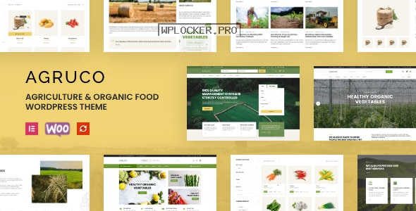 Agruco v1.0.8 – Agriculture & Organic Food WordPress Theme