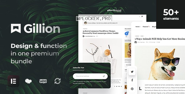 Gillion v4.7 – Multi-Concept Blog/Magazine & Shop WordPress Theme