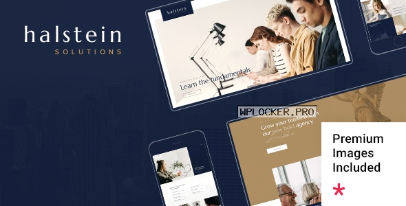 Halstein v1.3 – Business Consultingnulled